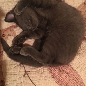 Meet your Posher, Eden